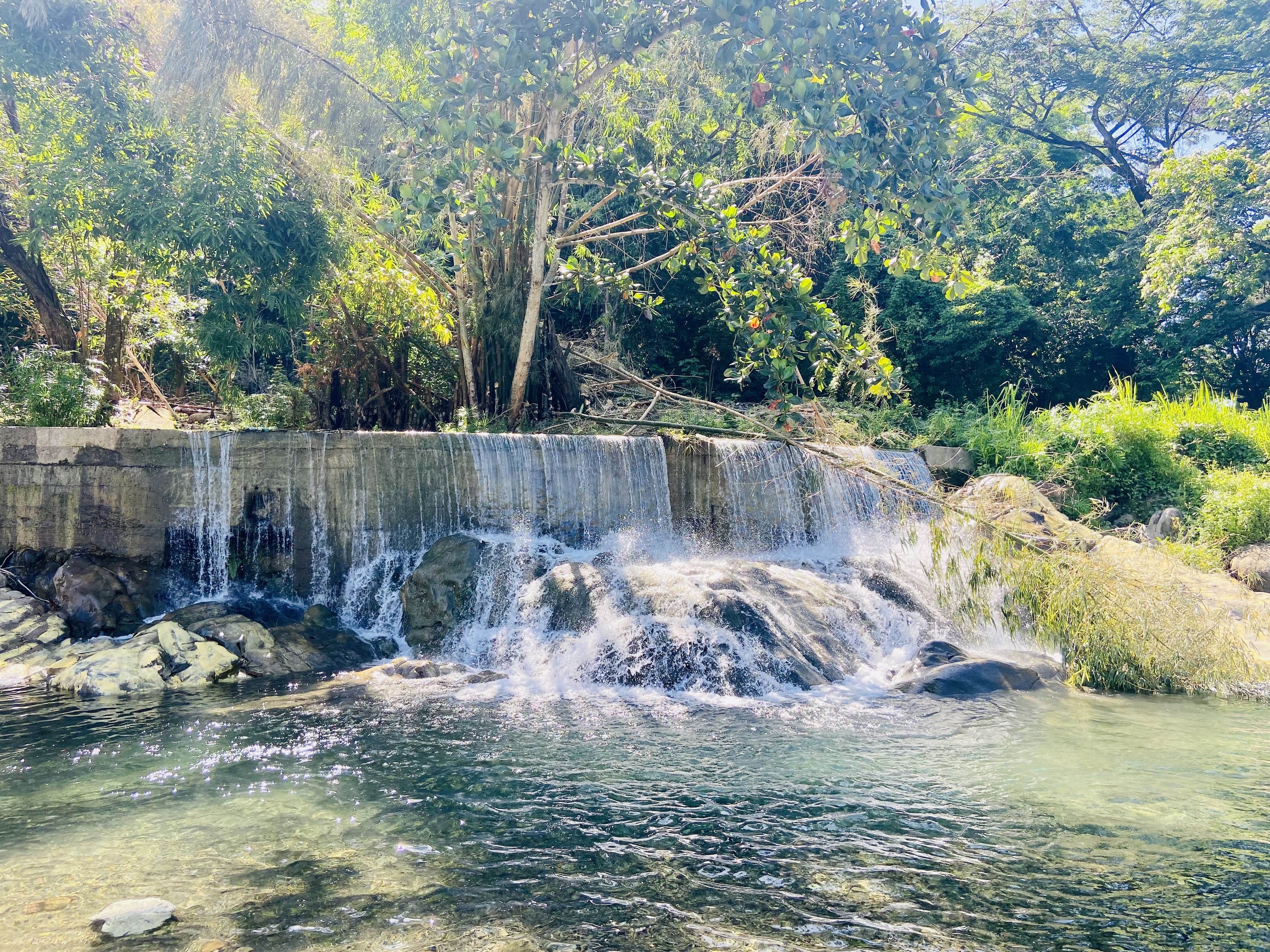 Grandpa Falls, Jamaica